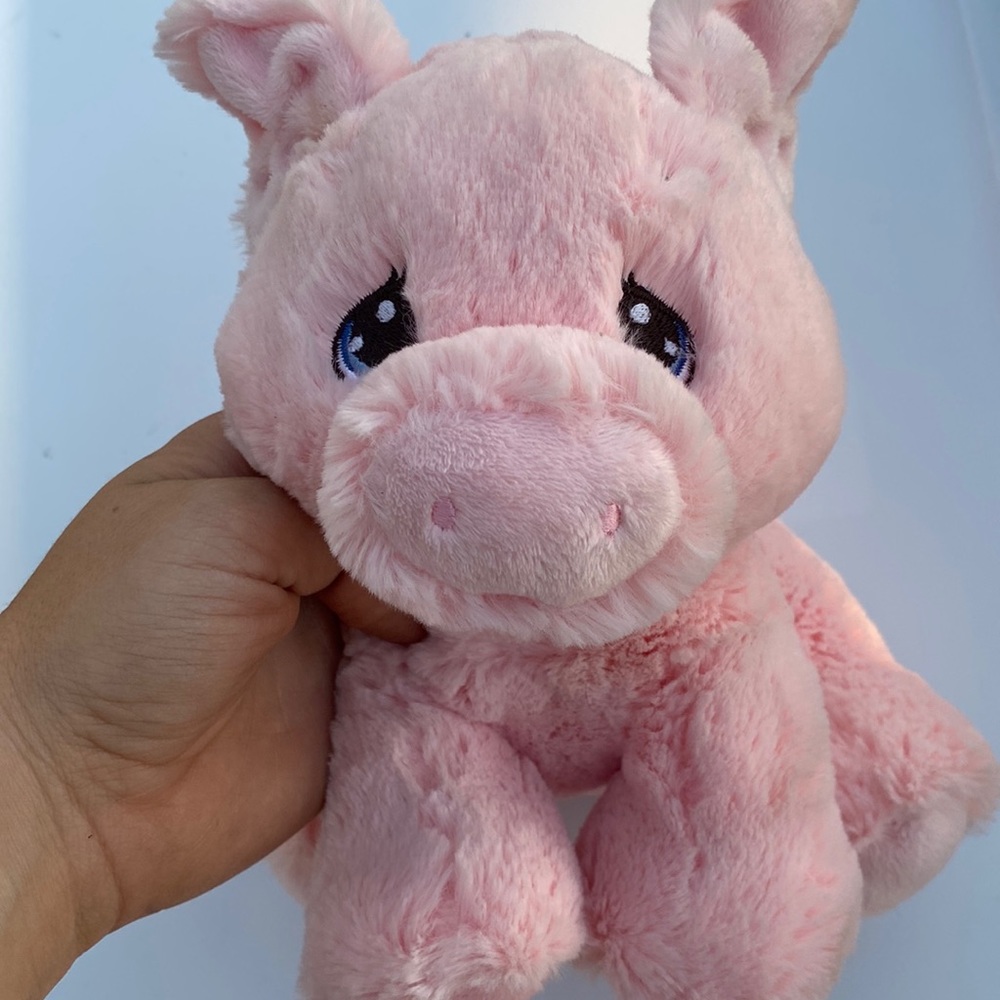 Cute Baby Pig